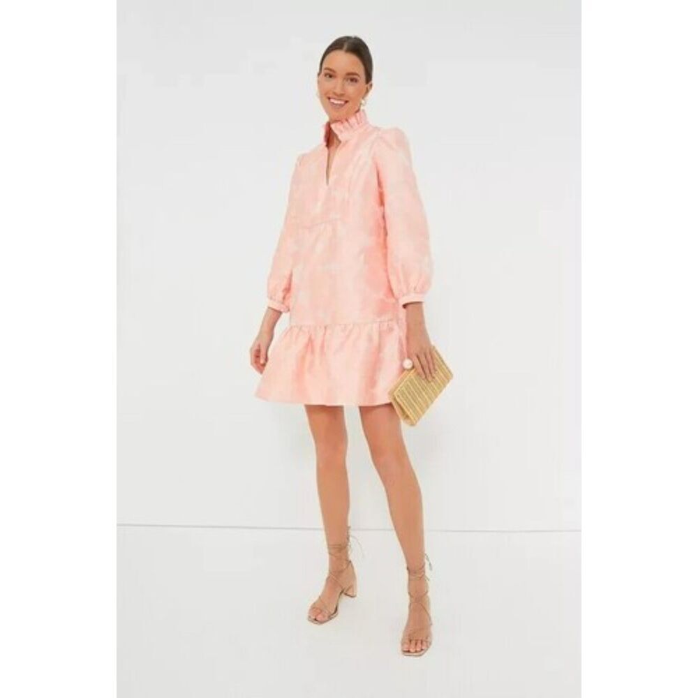 Tuckernuck Pink Floral Jacquard Ruffle Mini Dress | Puff Sleeve Babydoll